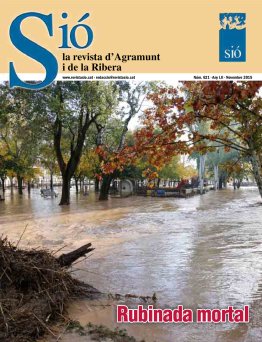 Sió 621. Novembre 2015