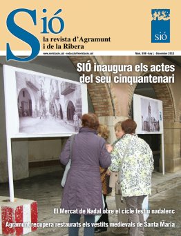 Sió 598. Desembre 2013