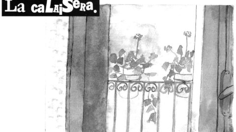 Maig 1997