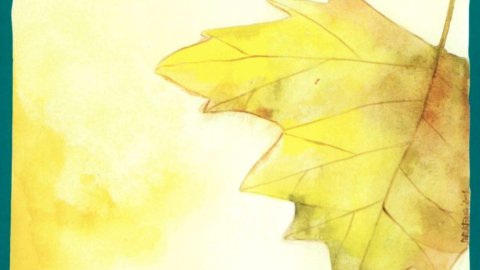Novembre 2001