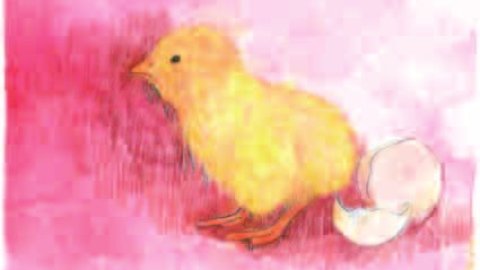 Maig 2006