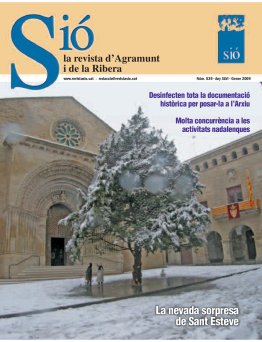 Sió 539. Gener 2009