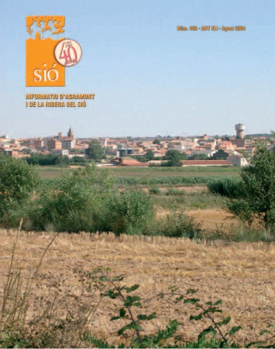 Sió 486. Agost 2004