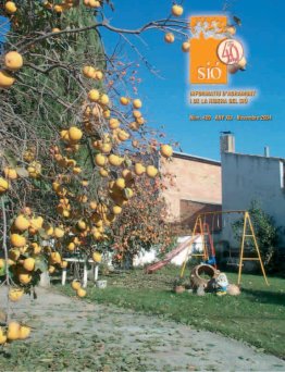 Sió 489. Novembre 2004