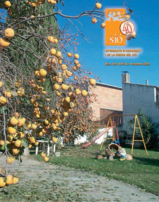 Sió 489. Novembre 2004
