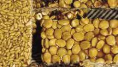 Torronaires medievals i la recepta del torró tradicional a Catalunya