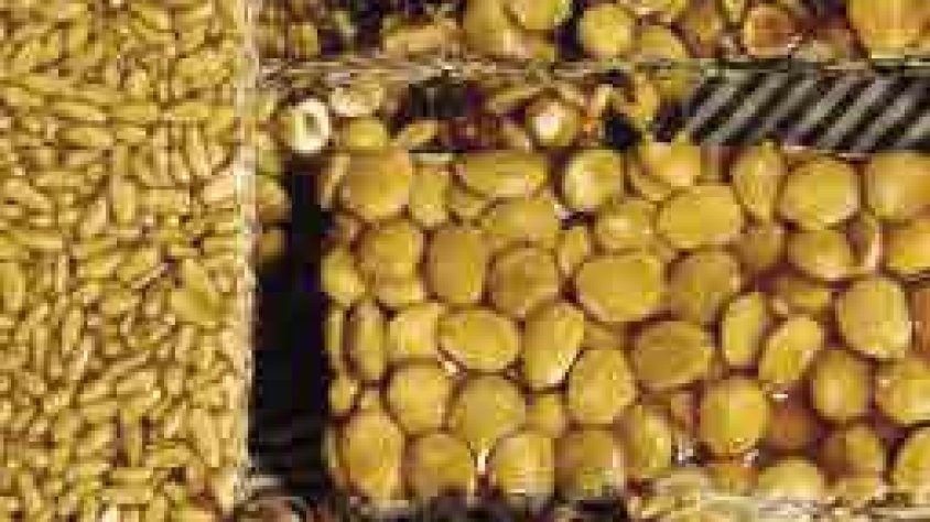 Els dolços elaborats amb mel i fruits secs eren comuns a la Mediterrània des de molt antic i ja figuraven entre les receptes de la cuina romana.