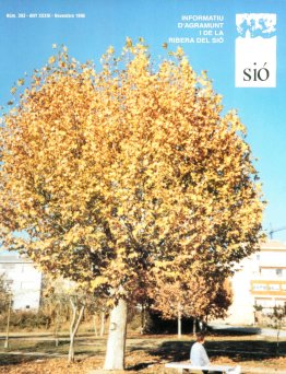 Sió 393. Novembre 1996