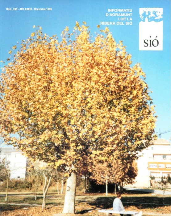 Sió 393. Novembre 1996