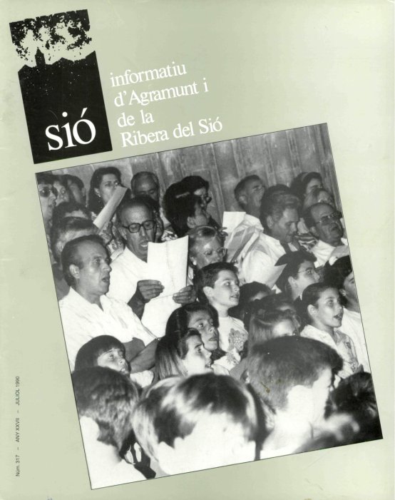 Sió 317. Juliol 1990