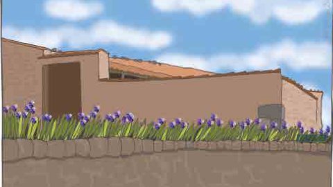 Abril 2025