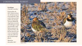 Imatge secundaria de la galeria