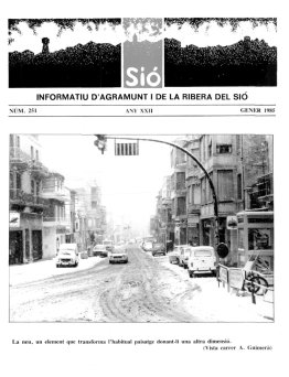 Sió 251. Gener 1985