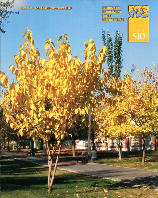 Sió 441. Novembre 2000