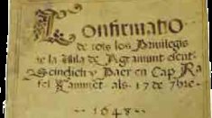 Agramunt i la Guerra dels Segadors. Un privilegi de 1648