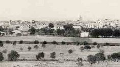 El cadastre d'Aparici