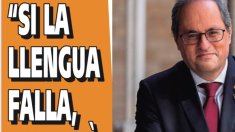Si la llengua falla, fallarà tot