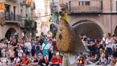 L’àliga d’Agramunt